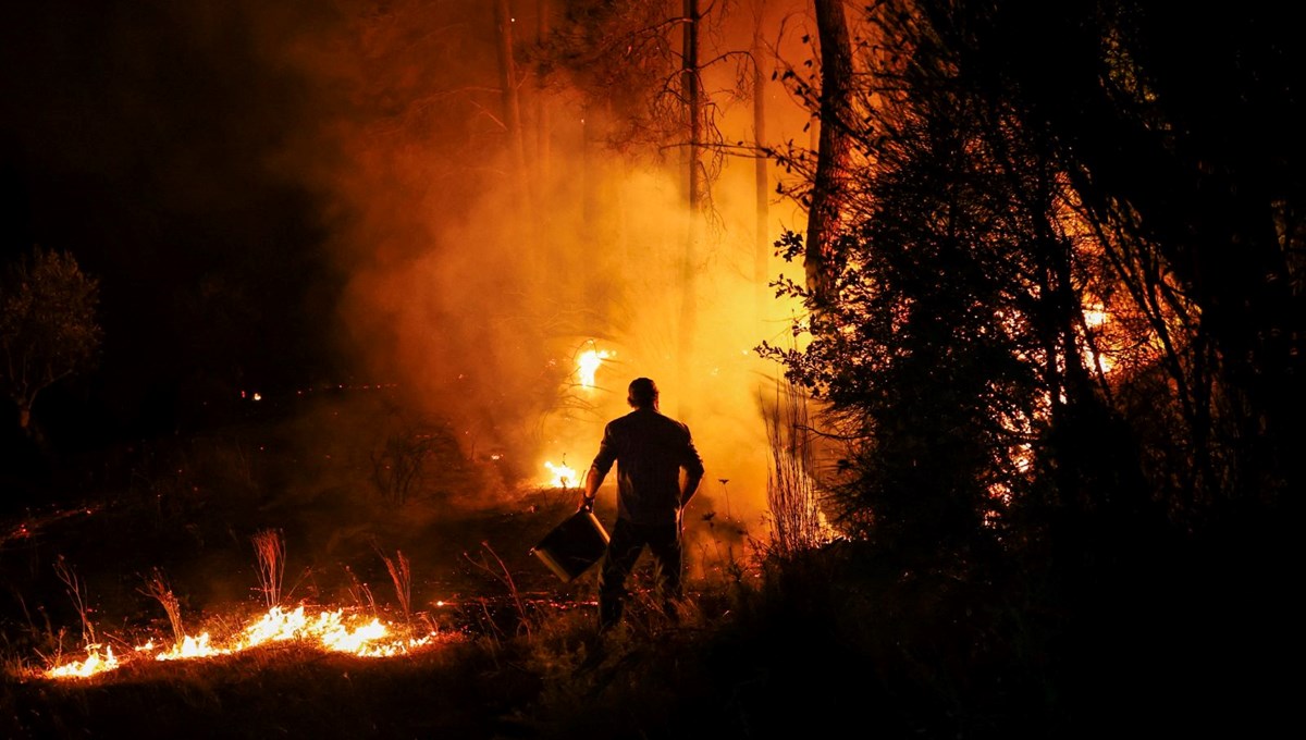 Portekiz'de orman yangınları: 3 kişi öldü, 20 kişi yaralandı
