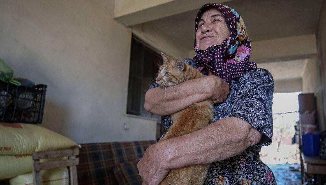 Kedi Boncuk Çanakkale yangını anlattı!