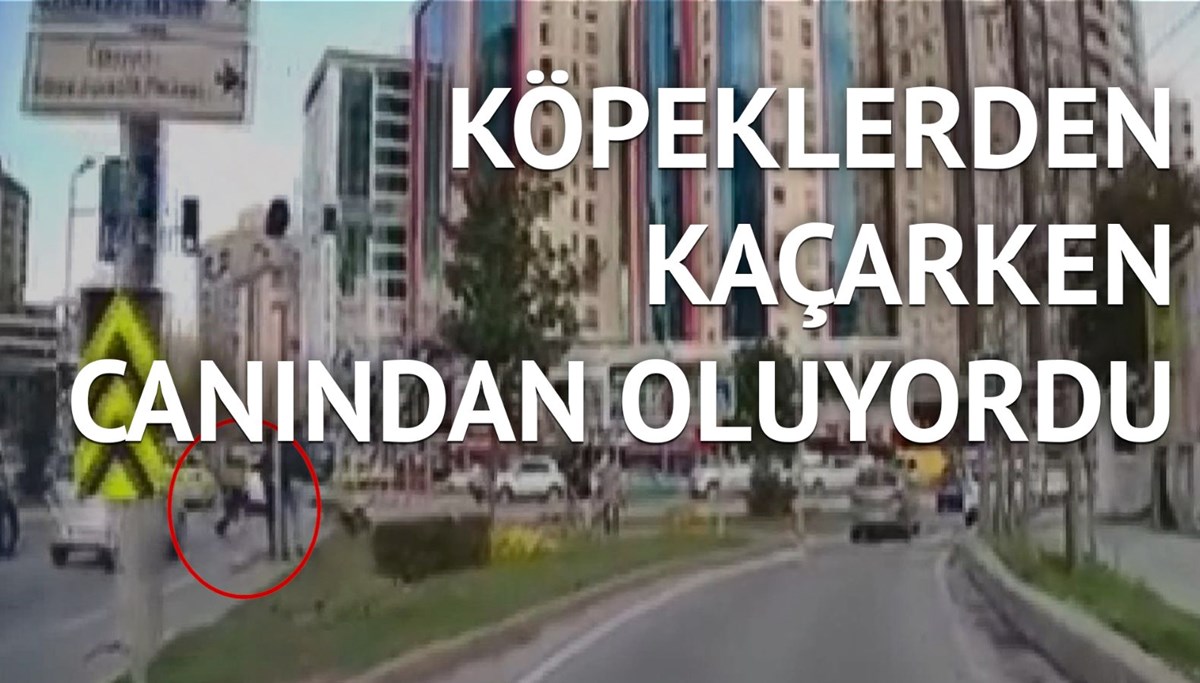 Otomobilin altında kalmaktan son anda kurtuldu Otomobilin altında kalmaktan son anda kurtuldu