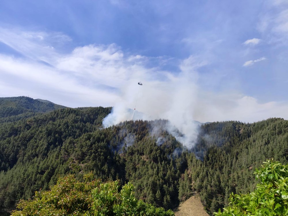 gQgdcRJ7yUmdmTTC4RrHuw