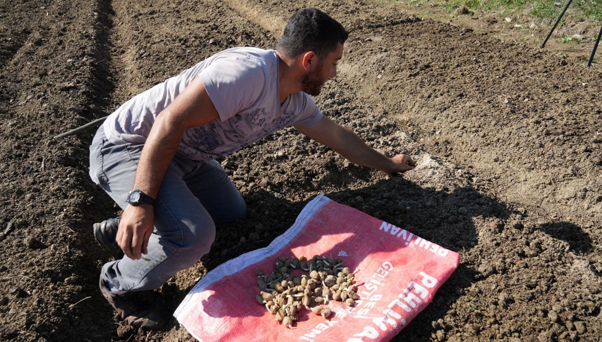 Çocukken yaylalarda topluyordu: Şimdi üreticisi oldu 800 bin lira gelir elde ediyor Çocukken yaylalarda topluyordu: Şimdi üreticisi oldu 800 bin lira gelir elde ediyor