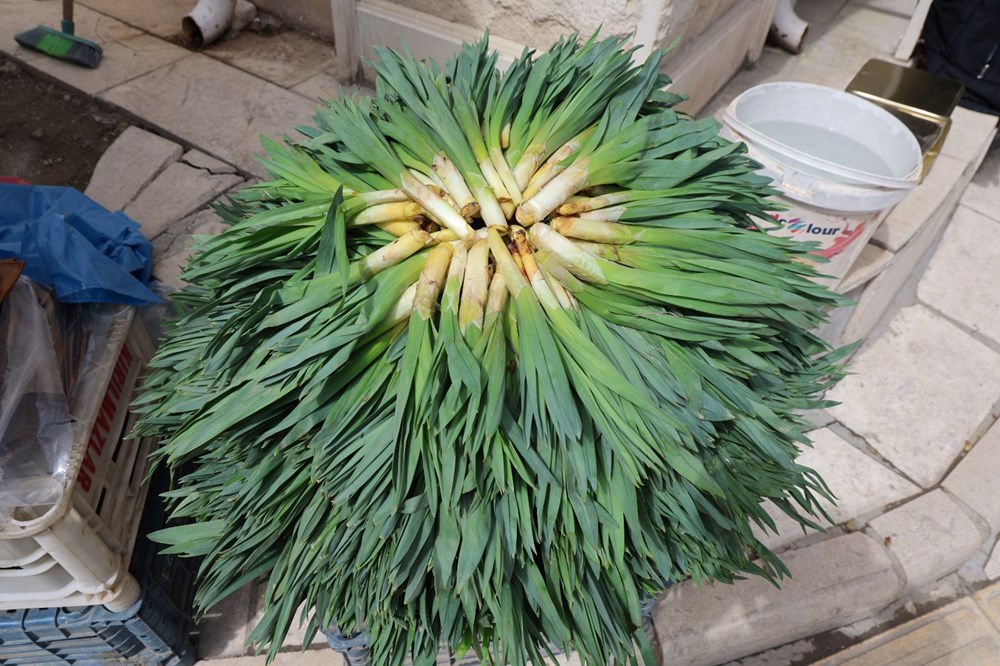 Doğanın Antibiyotiği 100 TL: Şifaya Çağrı! 73 gSOXeFJUg0ua5d tc39RSA