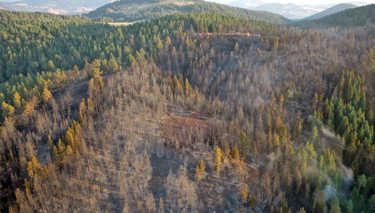 Çankırı'da orman yangını