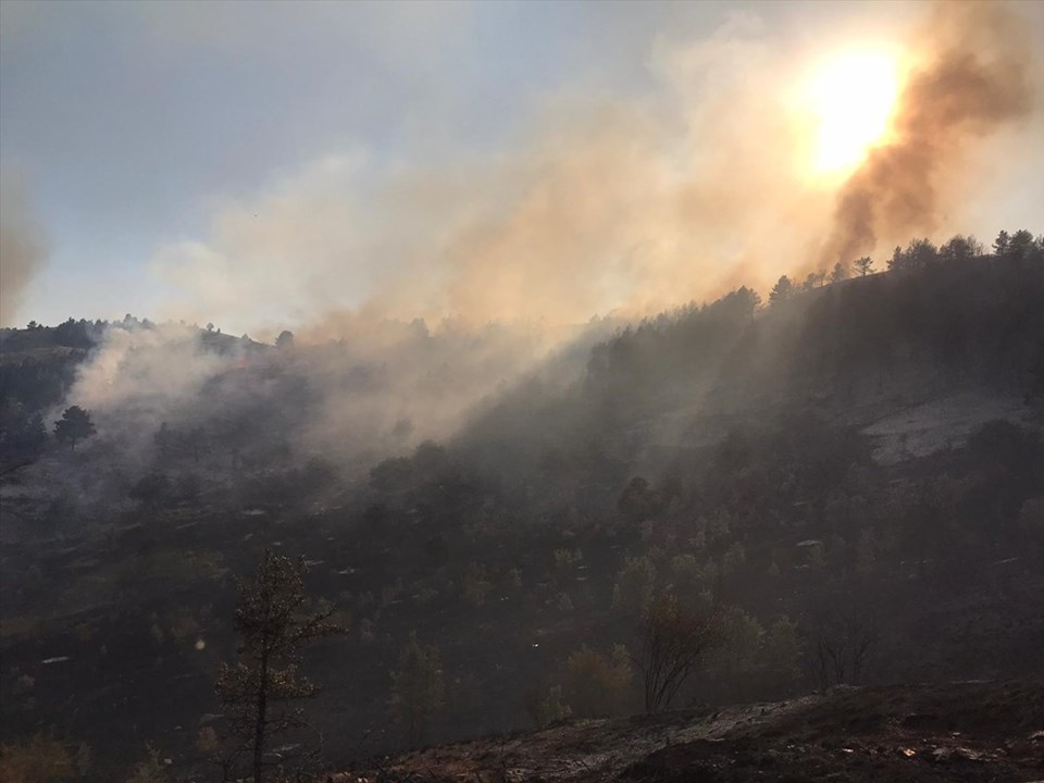 Kastamonu ve Çankırı'da orman yangını - 3