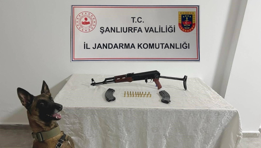 Şanlıurfa’da ruhsatsız silah operasyonu