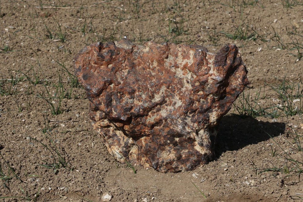 Çorum'dan ABD'ye: Tarlasında buldu, 1.3 milyon liraya sattı - 7