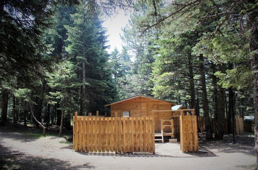 uludag da dogayla basbasa gunlugu 25 tl ye tatil ntv