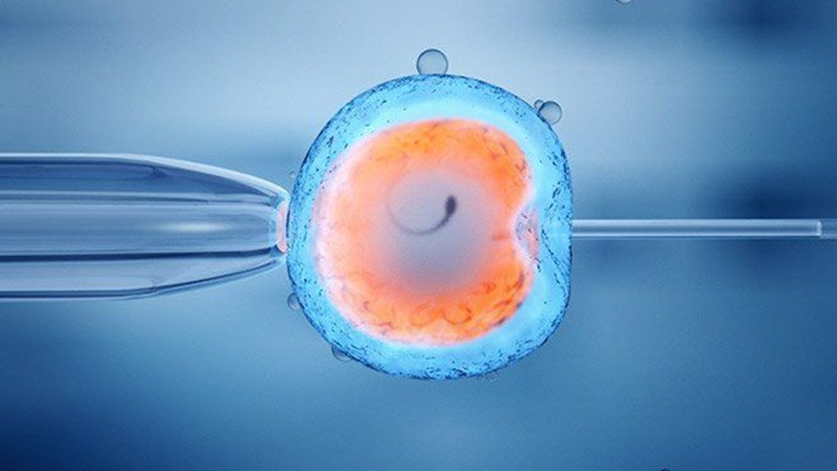 Tup Bebek Tedavisinde Aspirin Kullanimina Dikkat Saglik Haberleri Ntv