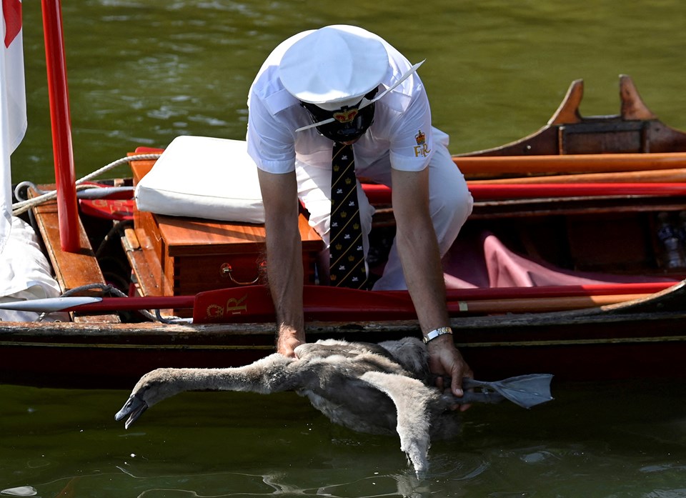 İngiltere'deki Thames Nehri'nin kaynağı kuruyor - 2