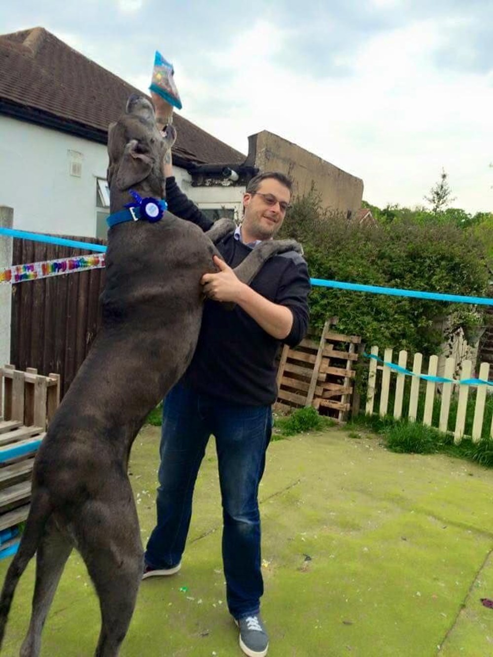 Dünyanın en uzun köpeği Freddy hayatını kaybetti - 4