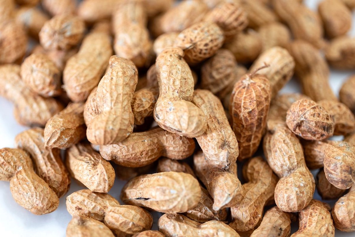 Kuruyemiş sanılıyor ama o bir baklagil: Faydalı mı, zararlı mı?