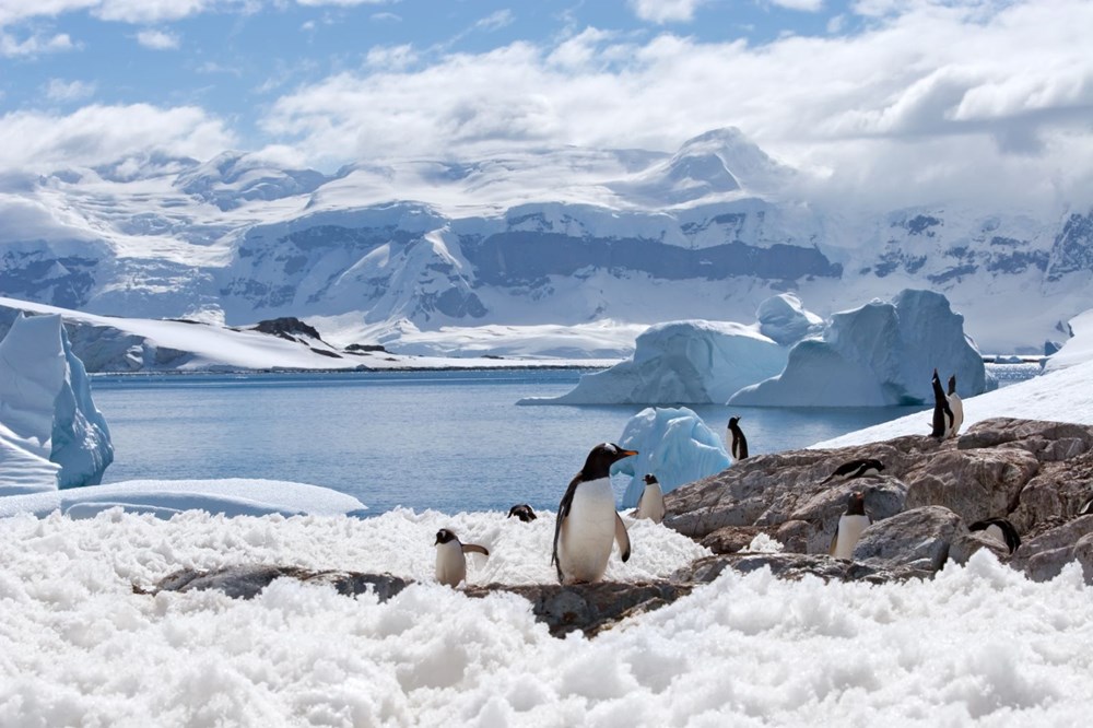 Dünyanın en büyük buzdağı Antarktika’dan koptu: Neredeyse İstanbul büyüklüğünde - 2