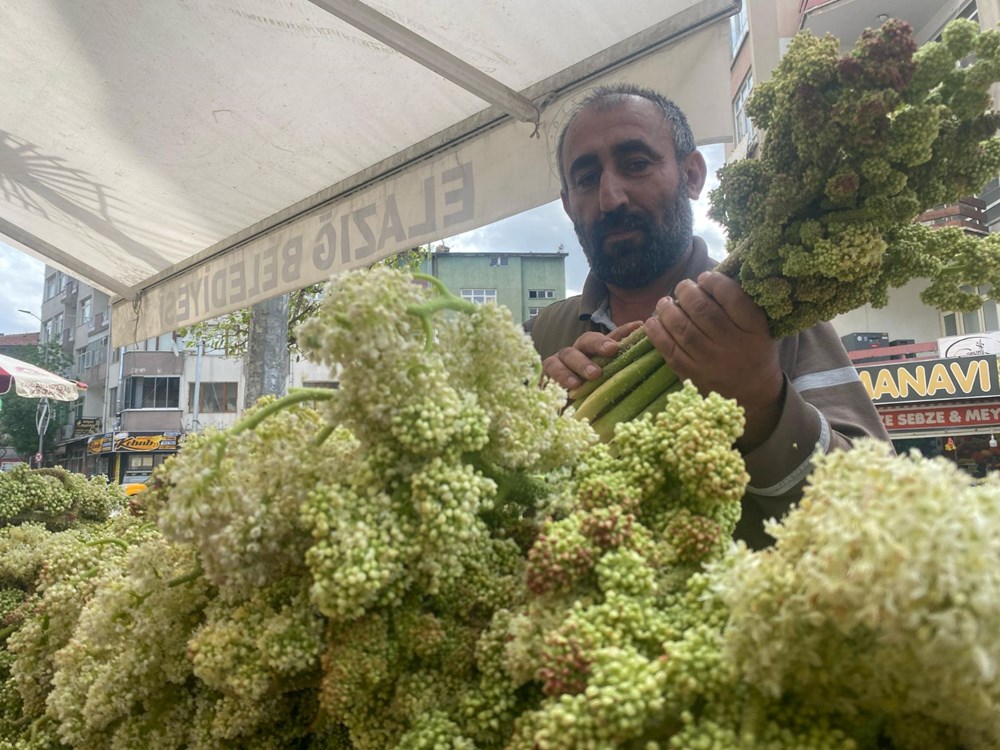 Şeker, kalp ve sarılığa yeterli geldiğine inanılıyor: Dağlarda yetişen doğal şifa tezgahta 74 gdikBDEPykG6RNZiBUEIrA