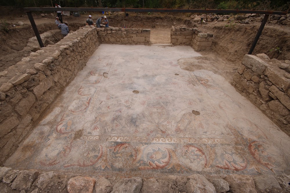 Yonca tarlasında çıkan bin 400 yıllık mozaik koruma altına alındı - 1