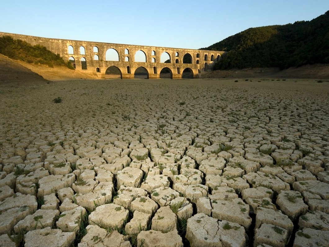 Uzmanlar kuraklık için uyarıyor: 2040'ta Türkiye en riskli ikinci kategoride - Son Dakika Türkiye Haberleri | NTV Haber