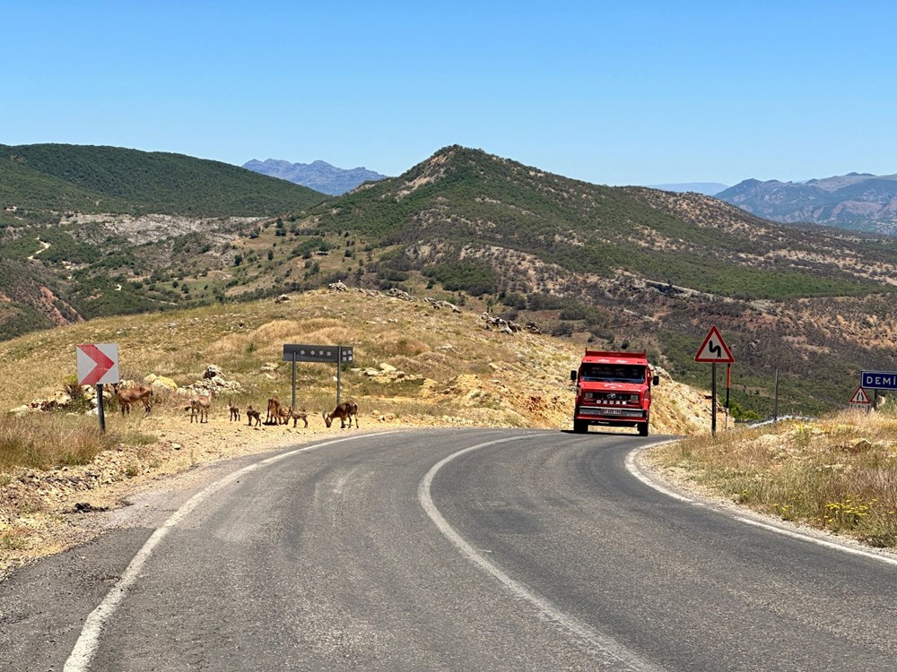 Tunceli'de ölümcül uyarı: "Yolda gördüğünüz an uzak durun!" - 4