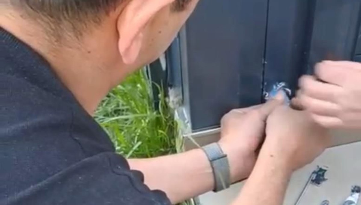 İtfaiyeden muhabbet kuşu operasyonu