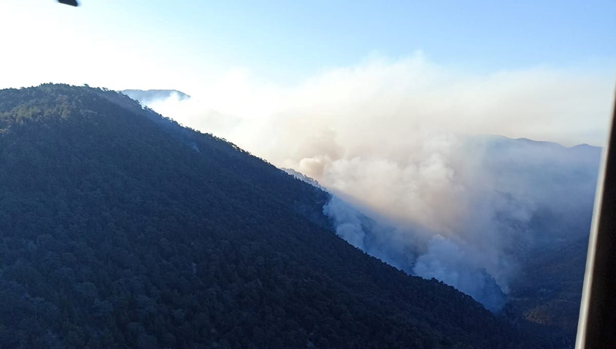 Bolu'daki orman yangınına havadan müdahale