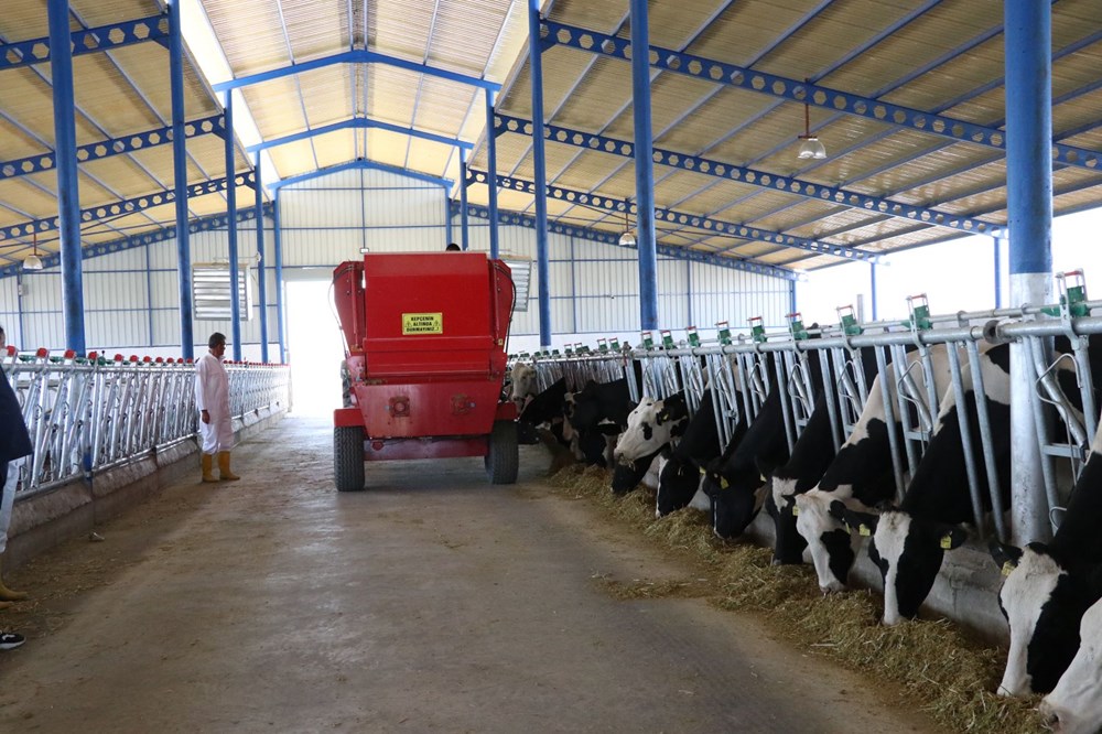 Niğde'de devlet desteğiyle 7,5 milyon liraya çiftlik kurdu - 2