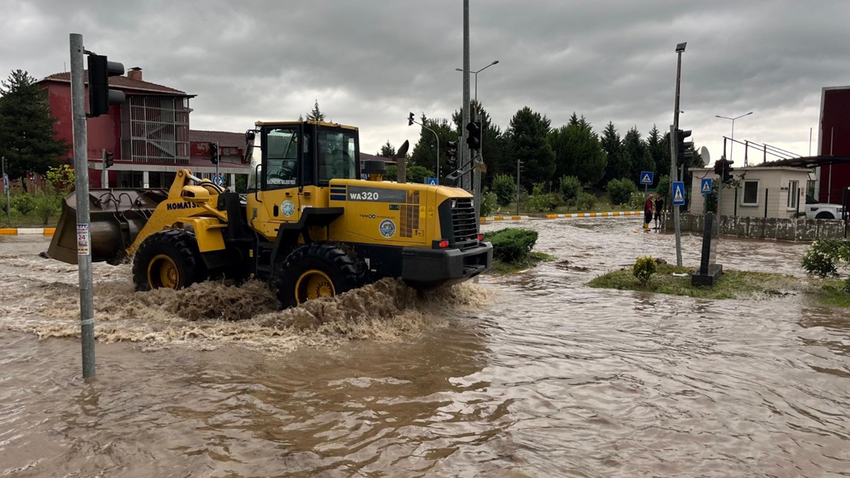 Samsun'u sağanak vurdu: Irmaklar taştı, hayvanlar suya kapıldı