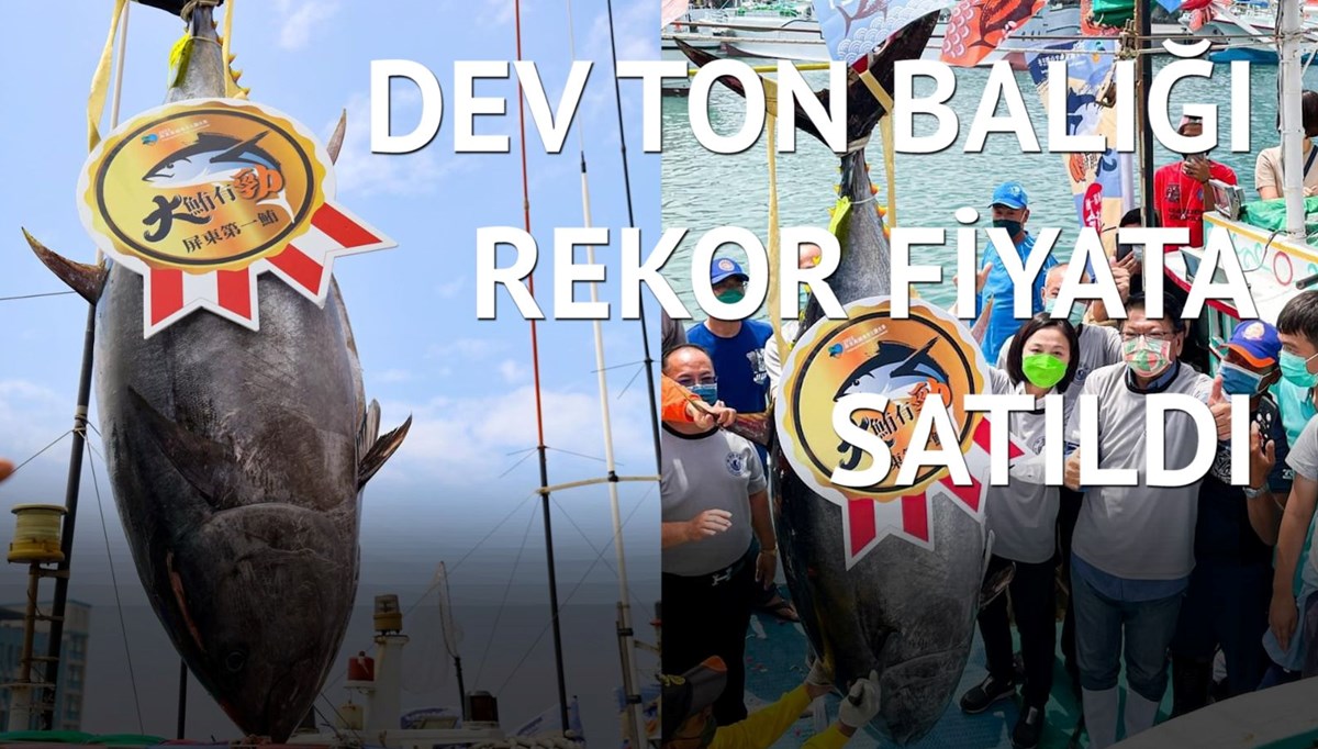 210 kg ağırlığındaki mavi yüzgeçli ton balığına rekor fiyat 210 kg ağırlığındaki mavi yüzgeçli ton balığına rekor fiyat