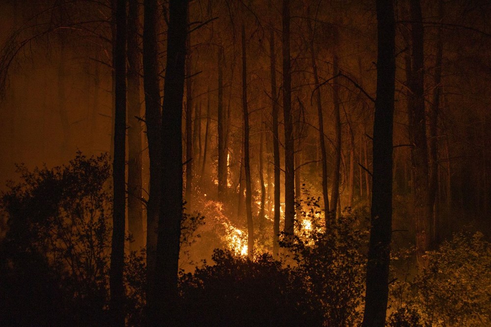 Marmaris'te orman yangını: Alevlerle mücadelede 2. gün - 2