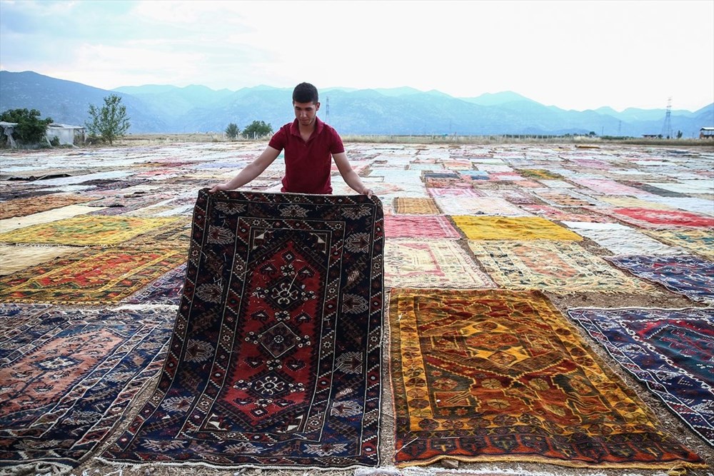 Antalya'nın rengarenk halı tarlaları - 6