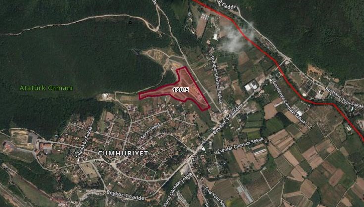 Beykoz'da tarım alanı satılıyor... Fiyatı dudak uçuklattı