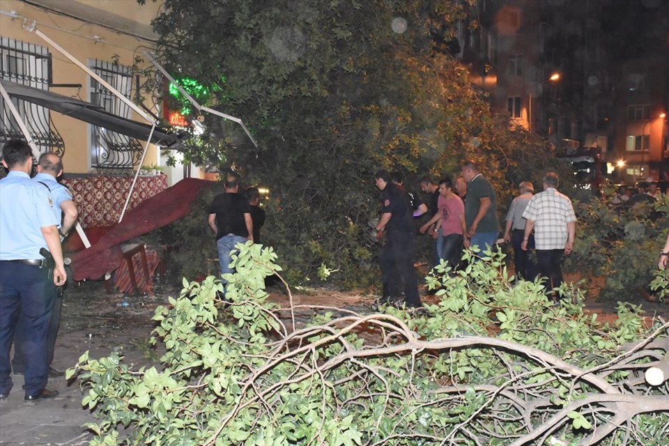 Kadıköy Caferağa'da ağaç devrildi: 3 yaralı - 2