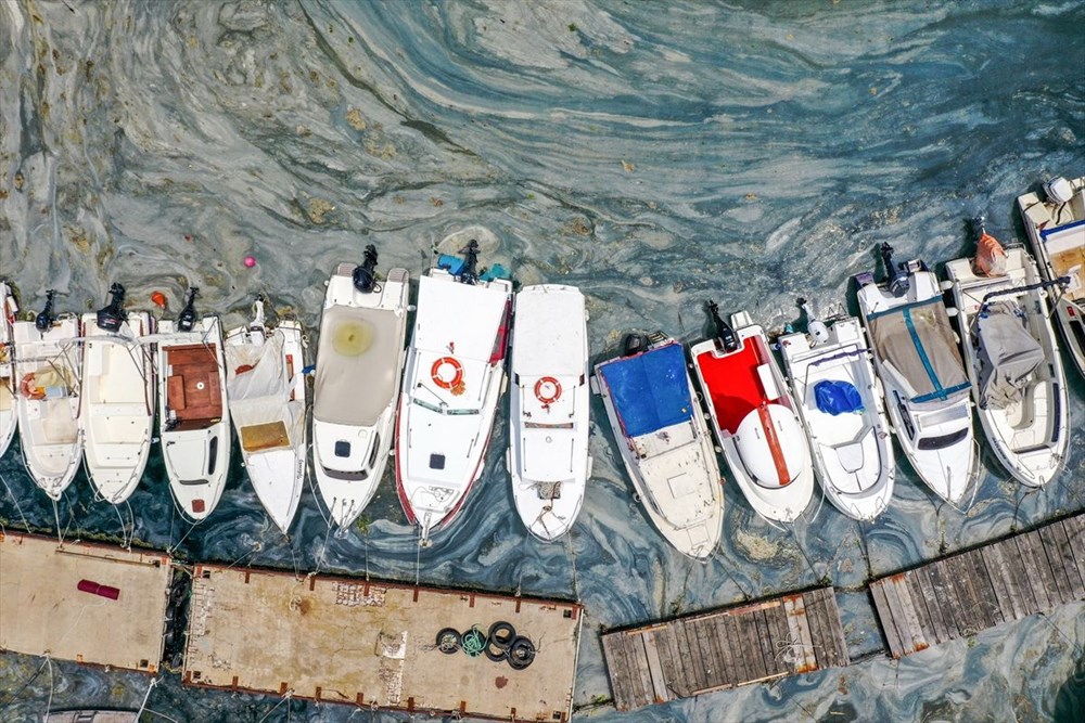 ODTÜ'den Marmara'da 'derin' inceleme - 3