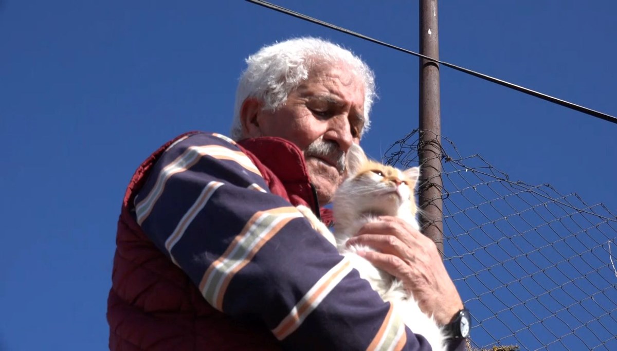 Emekli olup Elazığ'daki köyüne yerleşti: 29 köpek ve 30'dan fazla kediye bakıyor