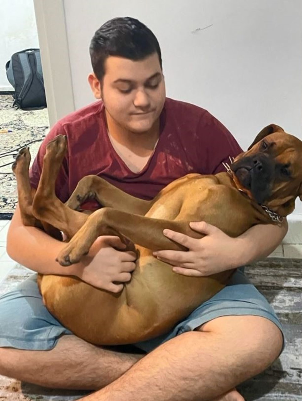 Otizmli çocuğun köpeğini pitbull sanıp vurdu - 1