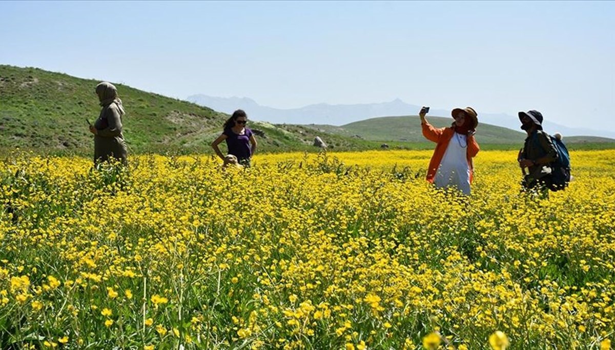 Doğaseverlerin yeni rotası Hakkari'nin Berçelan Yaylası, Cennet ve Cehennem Vadisi ve Seyithan Gölü