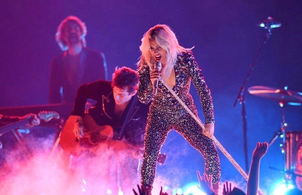 Lady Gaga'nın köpeğini kaçıran kişiye 21 yıl hapis cezası - 5