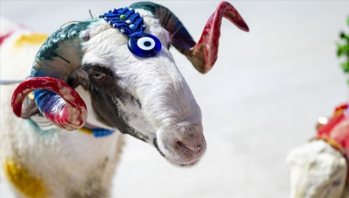 2026 Kurban Bayramı ne zaman idrak edilecek? Diyanet takvimine göre Kurban Bayramı tarihleri belli oldu