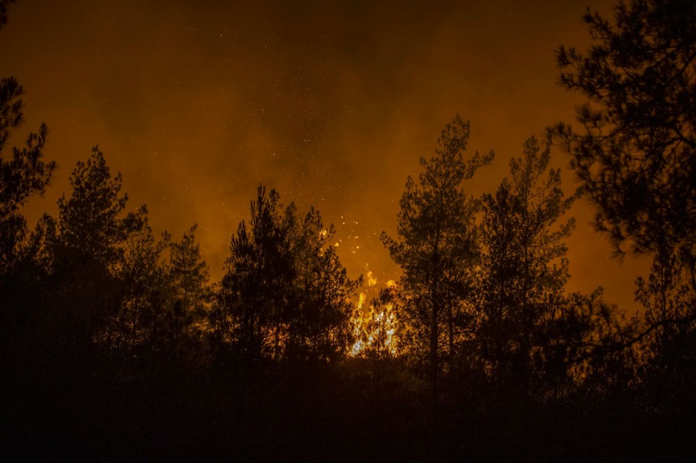 Marmaris'te orman yangını: Alevlerle mücadelede 2. gün - 53