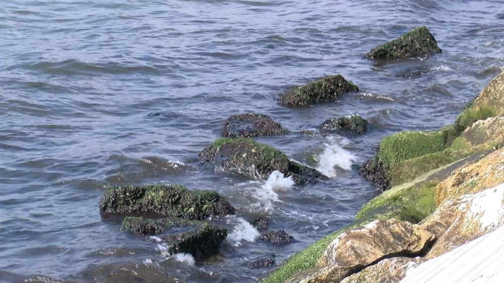 İstanbul'da deniz çekilmesi - 10