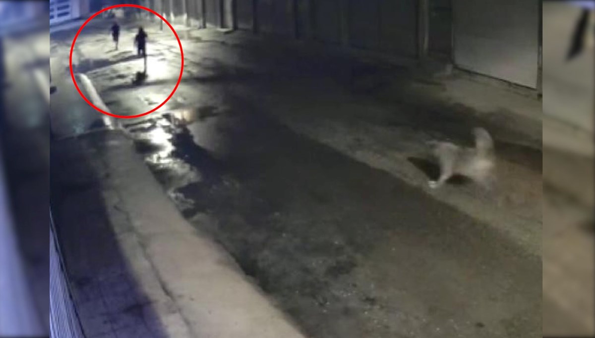 Bakkalı soymaya çalışan hırsızları köpek kovaladı
