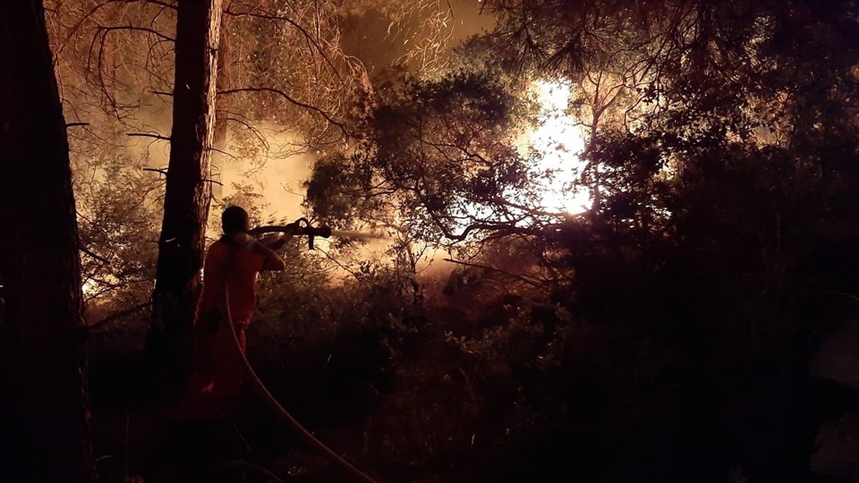 Manavgat'ta orman yangını - 1