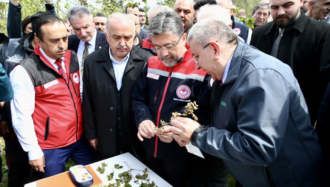 Zirai dondan etkilenen 16 meyve türüne destek