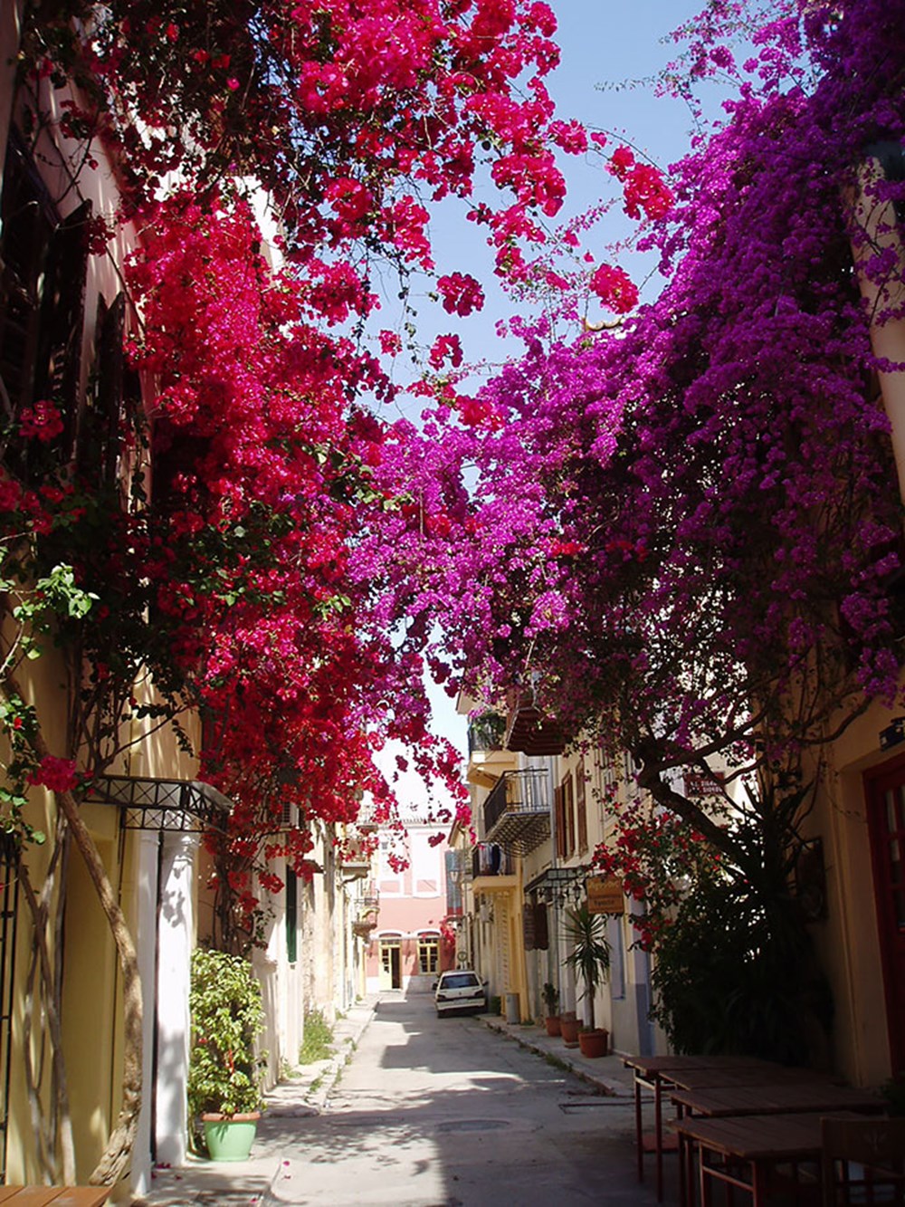 Street of flowers. Нафплион Греция улочки. Италия Флоренция улицы цветы. Самос Греция улочки. Итальянские улочки с бугенвиллией.