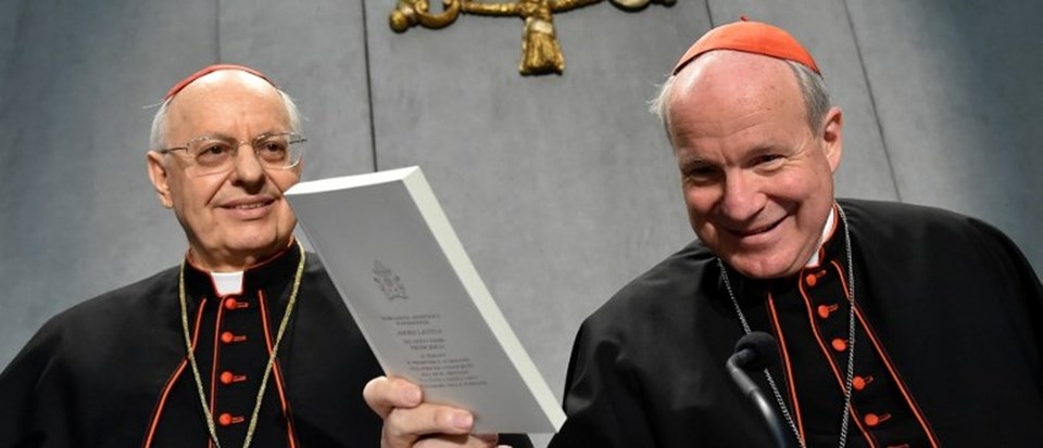 Papa'dan 1.3 milyon Katolik için yeni rehber - 1