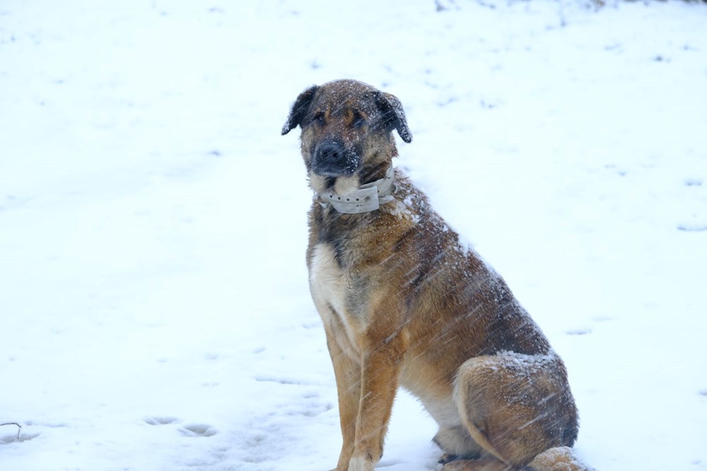 Trakya'da kar yağışı: Ulaşım güçlükle sağlanıyor - 10