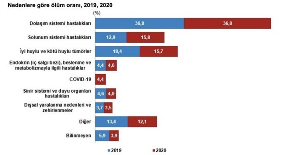 TÜİK 2020 ve 2021 yılı ölüm istatistiklerini açıkladı - 2