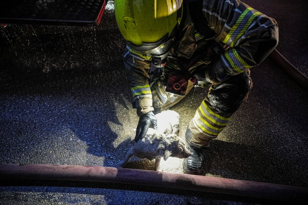 Alevlerin Ortasında Bir Mucize: İtfaiyenin Kahramanca Köpek Kurtarma Operasyonu! 75 h3qpz08k60ej PVCVB5mMA