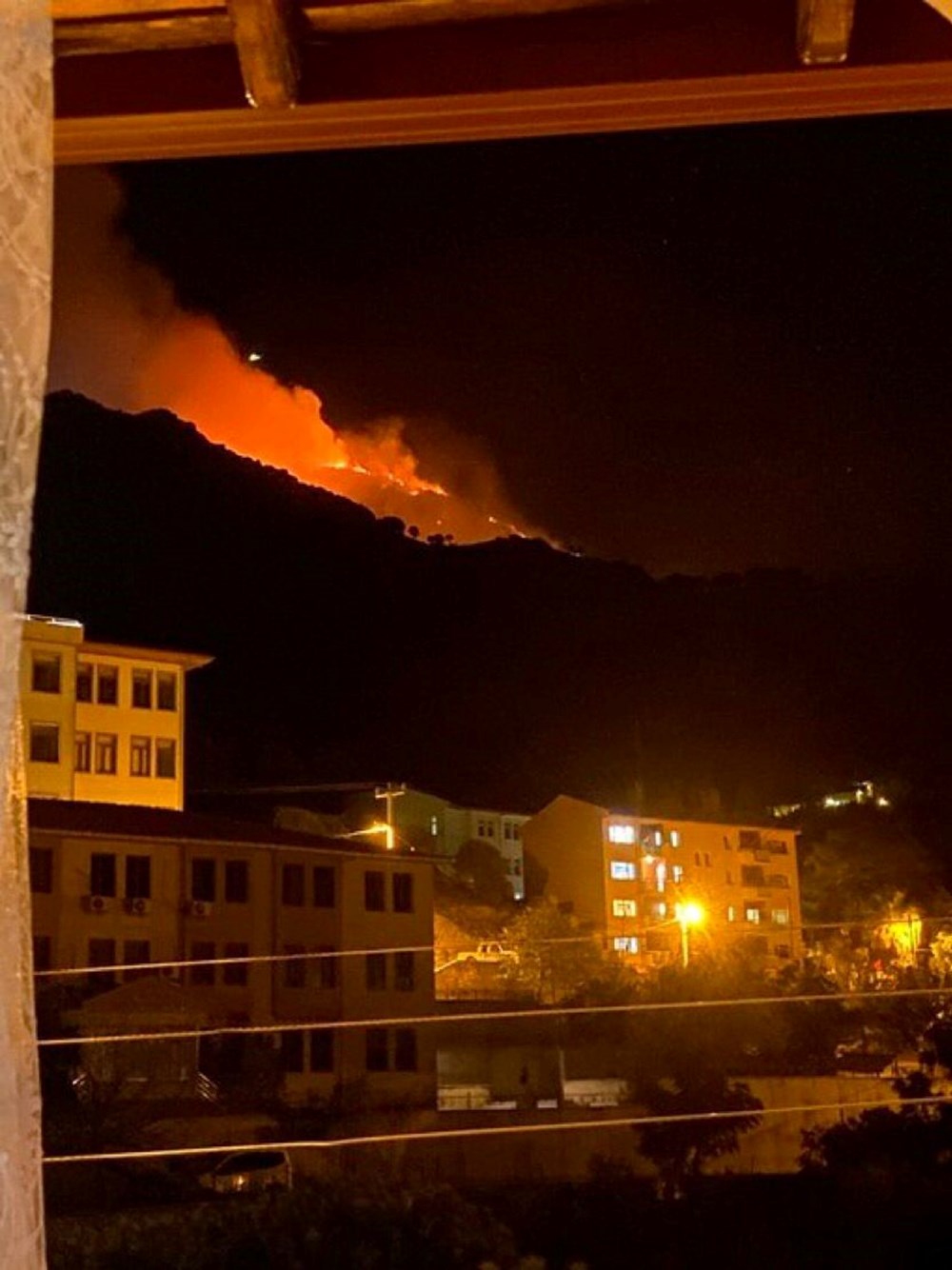 Balıkesir Marmara Adası'nda orman yangını - 1