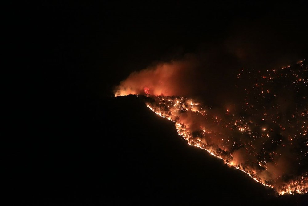 Antalya, Adana, Mersin, Muğla, Osmaniye ve Kayseri'de orman yangınları - 3