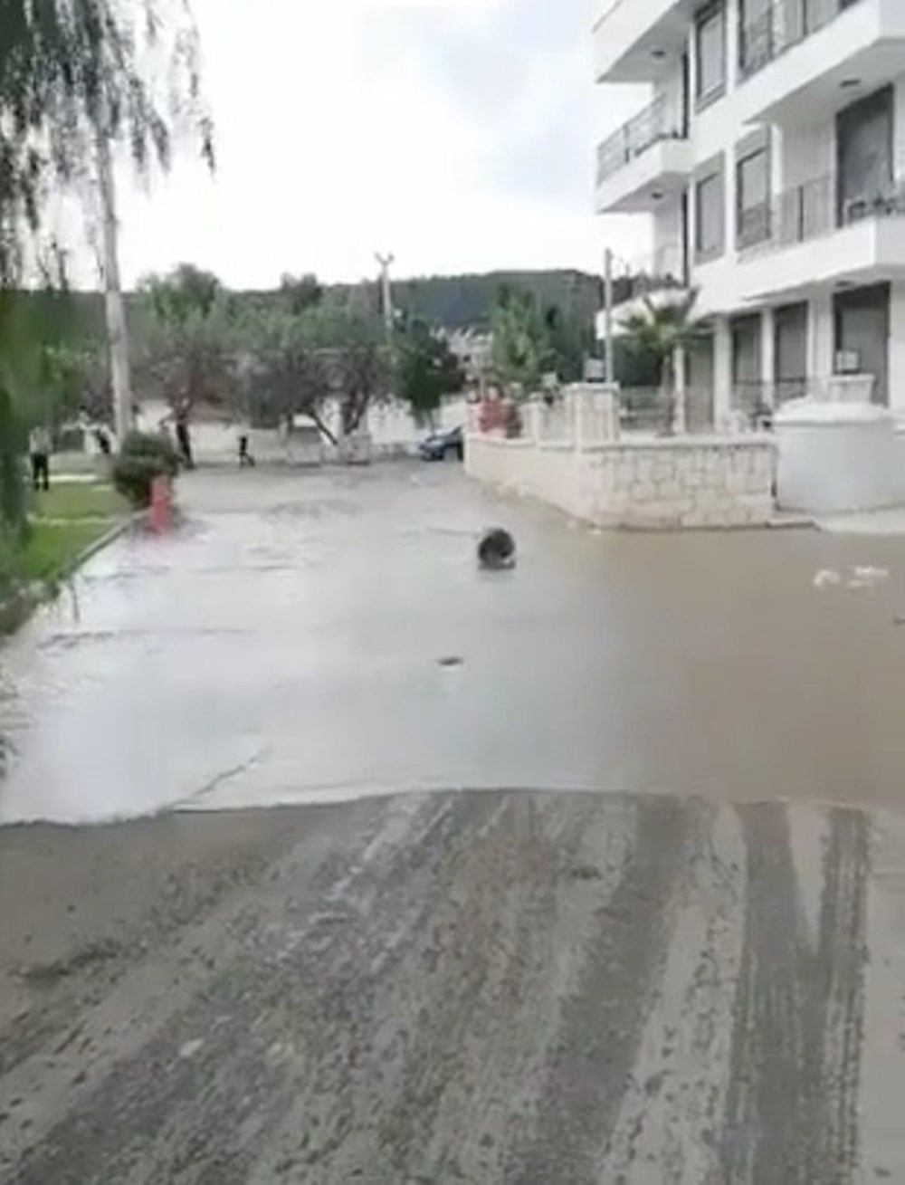 Seferihisar'da tsunami: Sokakları deniz suyu bastı - 4