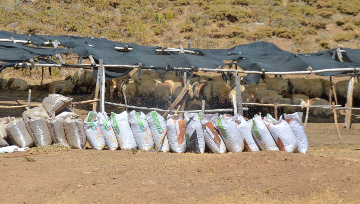 Hayvan yetiştiricilerinin yeni gelir kapısı