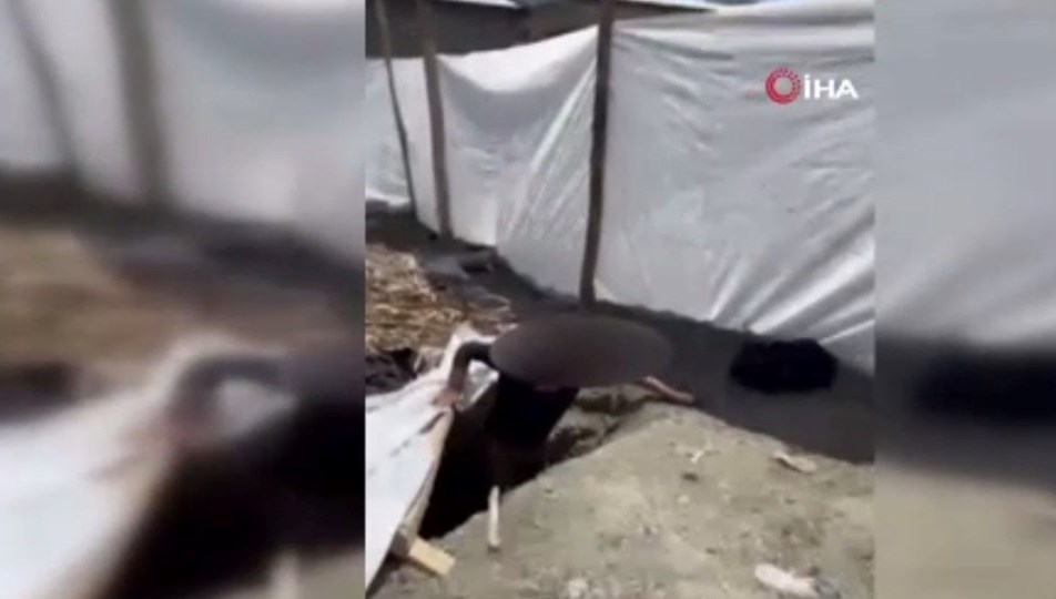 Yer altında saklanırken yakalandılar